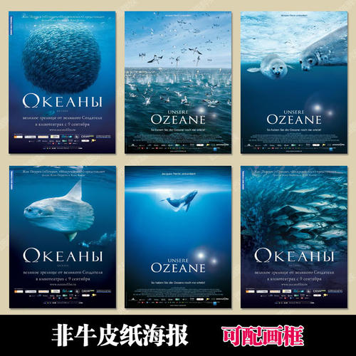 办假的迈尔斯学院成绩单